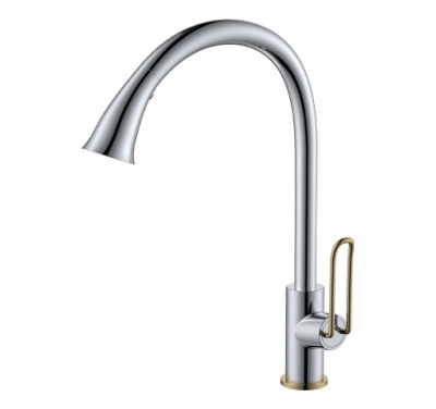Misturadores para Cozinha - Gourmet Classic - Com ducha extensível -  KR019